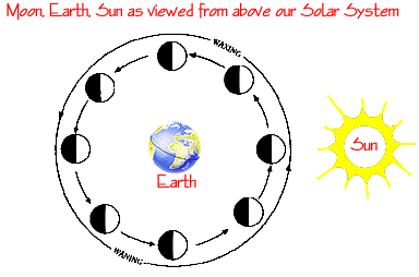 Cartoon of Moon-Earth Orbit, illustrating the phases of the moon. The cartoon is labeled Moon Earth Sun as viewed from above our solar system.  The Earth sits in the center of eight moons at different places in the lunar cycle.  To the right the Sun shines on the Moon Earth system, creating shadows on the moon, which we view as phases.