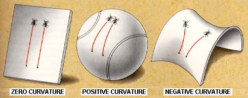 image showing a 
sphere which represents a positive curvature surface; a flat piece of 
paper representing a zero curvature surface; and a saddle shape 
representing a negative curvature surface