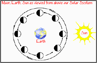 Cartoon of Moon-Earth Orbit, illustrating the phases of the moon. The cartoon is labeled Moon Earth Sun as viewed from above our solar system.  The Earth sits in the center of eight moons at different places in the lunar cycle.  To the right the Sun shines on the Moon Earth system, creating shadows on the moon, which we view as phases.