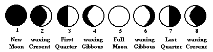 Phases of the moon progressing from a full moon to a waning cresent. Eight moon phases are represented in all.