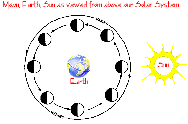 phases of the moon diagram to label