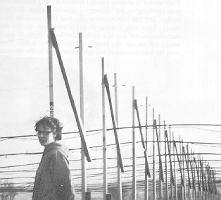 photo of Jocelyn Bell in 1967 in front of the radio 
telescope with which she discovered the first pulsar