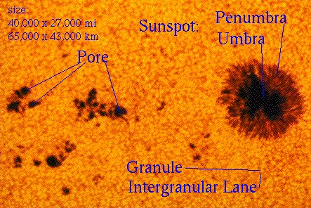 Image of the surface of the sun: sunspot, granule, intergranule line, penumbra, umbra, and pore.