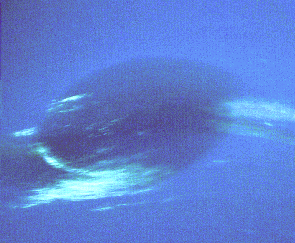 The Great Dark Spot on Neptune
