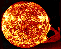 Solar prominence observed by Skylab in ultraviolet light