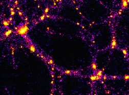 Image of matter 
clumping in the early universe as predicted by computer simulation