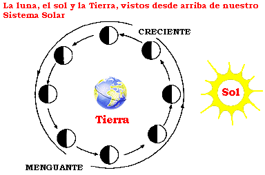 Moon Cycle 
Diagrama mirando hacia abajo a la Luna cuando orbita la Tierra con el Sol a la derecha