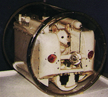 Maqueta de la cabina espacial presurizada de Laika