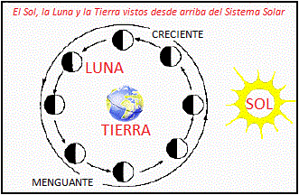 
Dibujo de la órbita Tierra-Luna, ilustrando las fases de la Luna. EL dibujo está rotulado como Luna Tierra Sol, como es visto desde arriba de nuestro Sistema Solar.
La Tierra se sitúa en el centro de 8 lunas en diferentes lugares del ciclo lunar. A la derecha brilla el Sol sobre el sistema Luna-Tierra, creando sombras en la Luna, que nosotros vemos como fases.